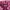Cosplay Coquette Blouse Wanita pink black photo 8