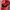 Jack Wolfskin Sportswear Hat Pria red photo 2