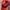 Jack Wolfskin Sportswear Hat Pria Red