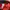 Jack Wolfskin Sportswear Hat Pria red photo 4