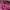 Kipling Coquette Casual Shoulder bag Wanita multicolor photo 4