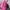 Kipling Coquette Casual Shoulder bag Wanita multicolor photo 5