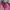Kipling Coquette Casual Shoulder bag Wanita multicolor photo 3