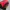 Deuter Sportswear Bag Pria black red photo 1