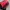 Deuter Sportswear Bag Pria Black Red