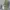 Mountain Hardwear Sportswear Hat Pria green photo 1