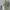 Mountain Hardwear Sportswear Hat Pria Green