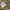 Karl Helmut Streetwear Jeans Pria khaki photo 5