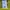 Adidas Streetwear Jersey Pria yellow navy photo 8