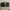 Coach Casual Wanita multicolor black photo 1