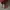 Louis Vuitton Casual Wanita red photo 2