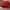 Louis Vuitton Casual Wanita red photo 1