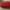 Louis Vuitton Casual Wanita Red
