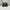 Cav Empt Casual Hat Pria brown photo 2