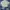 Y2K Formal shirt Pria white photo 1