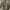 Vintage Trench coat Pria green photo 2