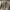 Vintage Trench coat Pria green photo 1