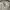 Levi's Streetwear Casual Hoody Pria gray photo 2
