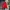 Adidas Casual Track jacket Pria yellow red photo 1