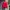 Adidas Casual Track jacket Pria yellow red photo 2