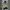 Casual Track jacket Pria white black photo 1