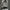 Casual Track jacket Pria white black photo 2