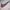 Nike Streetwear Luxury Sweatshirt Pria white photo 2