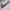 Nike Streetwear Luxury Sweatshirt Pria White