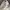 MLB Casual Hat Pria white photo 5