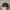 New Era Casual Hat Pria black photo 3