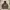 GAP Streetwear Casual Hoody Pria brown photo 1