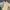 Dunlop Streetwear Sportswear Hoody Pria cream photo 1