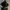 Adidas Vintage Y2K Sweatshirt Pria white black photo 1