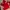 Adidas Streetwear Casual Sweater Pria red photo 3
