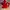 Adidas Streetwear Casual Sweater Pria red photo 1