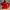 Adidas Streetwear Casual Sweater Pria Red