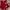 Adidas Streetwear Casual Sweater Pria red photo 4