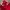 Adidas Streetwear Casual Sweater Pria red photo 2