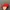 MLB Casual Hat Pria Red