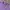 AMBUSH Casual Sweatshirt Pria purple photo 5