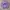 AMBUSH Casual Sweatshirt Pria Purple