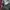 Coach Luxury Bags & purse Wanita green photo 5