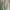 Polo Ralph Lauren Casual Formal shirt Pria multicolor photo 2