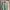 Polo Ralph Lauren Casual Formal Shirt Pria Multicolor
