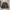 Mark Gonzales Vintage Casual Bomber jacket Pria green photo 1