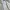 Nike NSW Sportswear Casual Fleece Pria cream photo 4