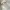 Nike NSW Sportswear Casual Fleece Pria cream photo 7