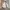 Nike NSW Sportswear Casual Fleece Pria cream photo 3