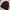 The North Face Vintage Casual T-shirt Pria red black photo 4