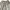 Avant Garde Casual Wide leg jeans Wanita green khaki photo 2